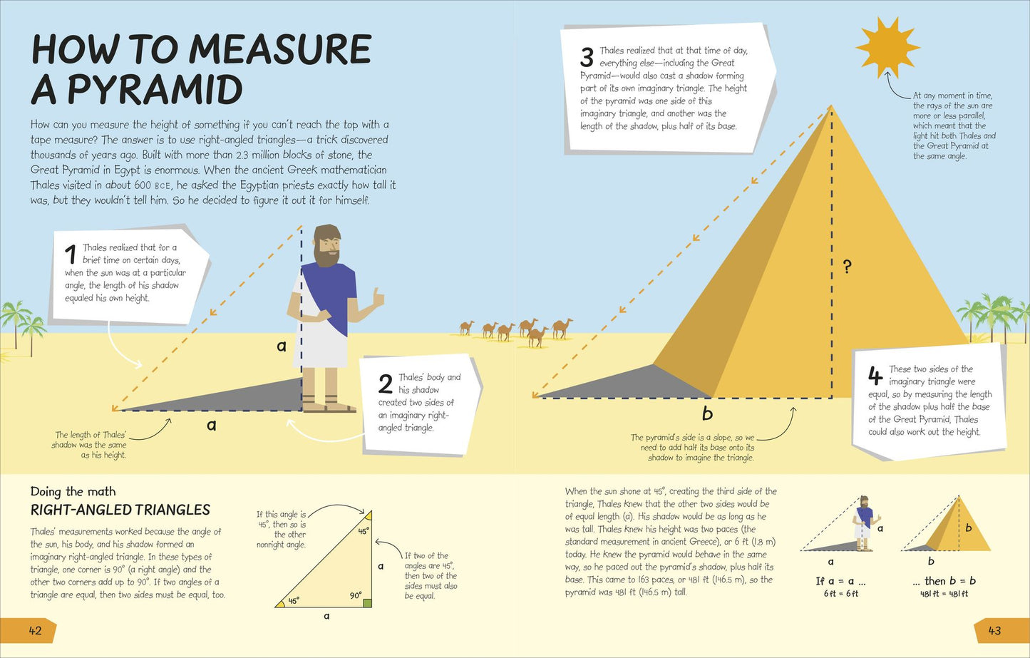 What's the Point of Math? : Understand the Magic of Numbers in Our Everyday Lives