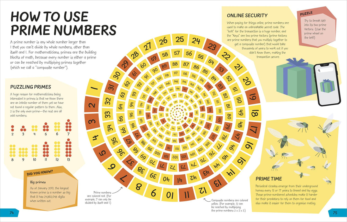 What's the Point of Math? : Understand the Magic of Numbers in Our Everyday Lives