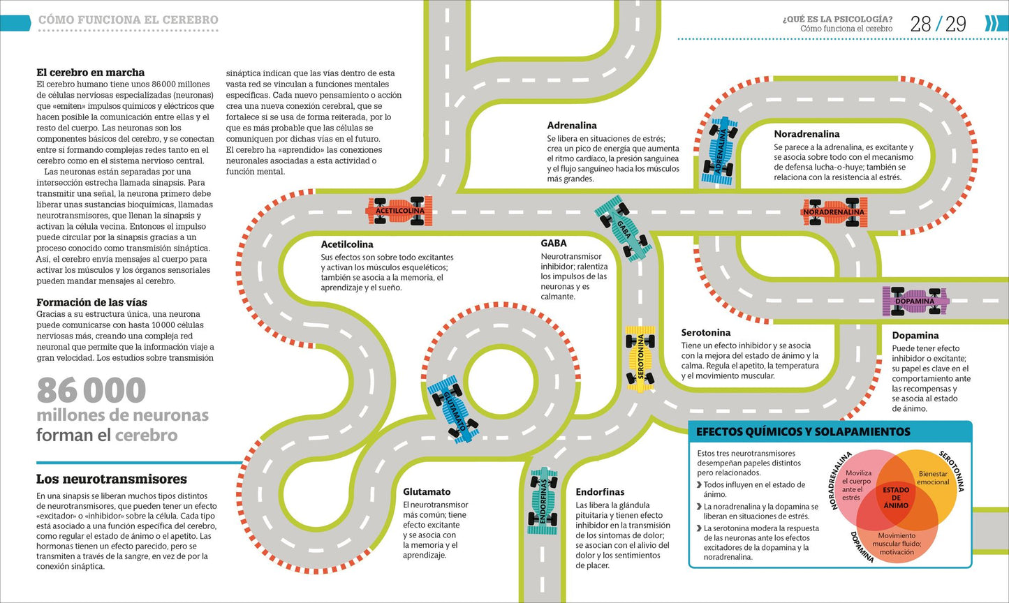 Cï¿½mo Funciona La Psicologï¿½a (How Psychology Works): The Facts Visually Explained