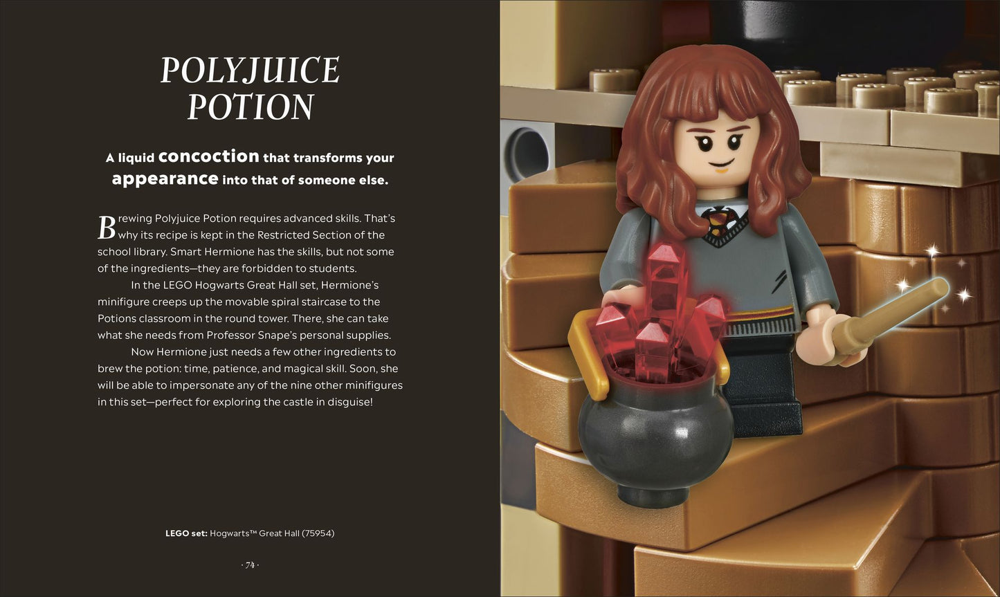 LEGO Harry Potter The Magical Guide to the Wizarding World