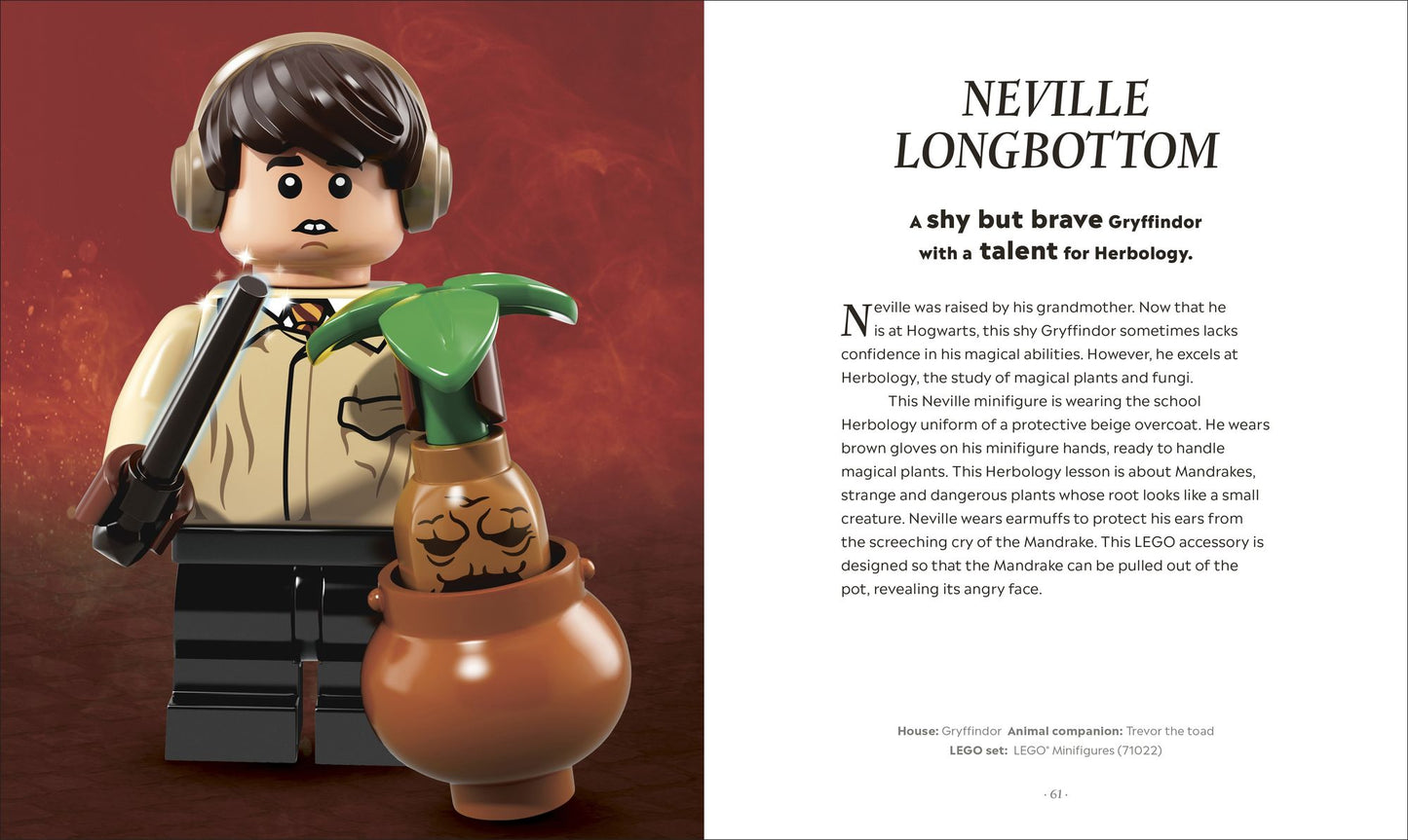 LEGO Harry Potter The Magical Guide to the Wizarding World