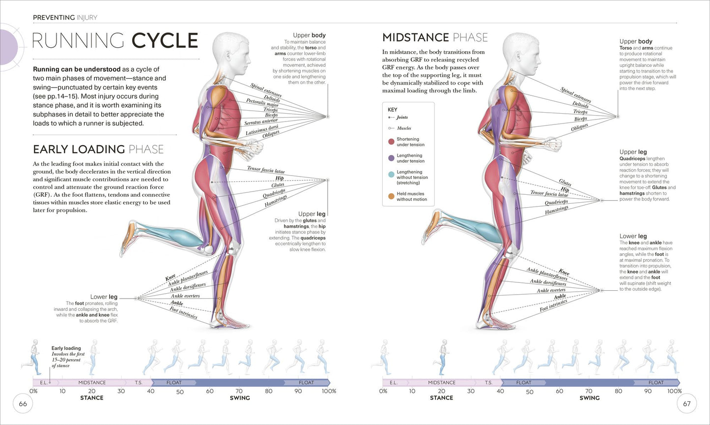 Science of Running: Analyze your Technique, Prevent Injury, Revolutionize your Training