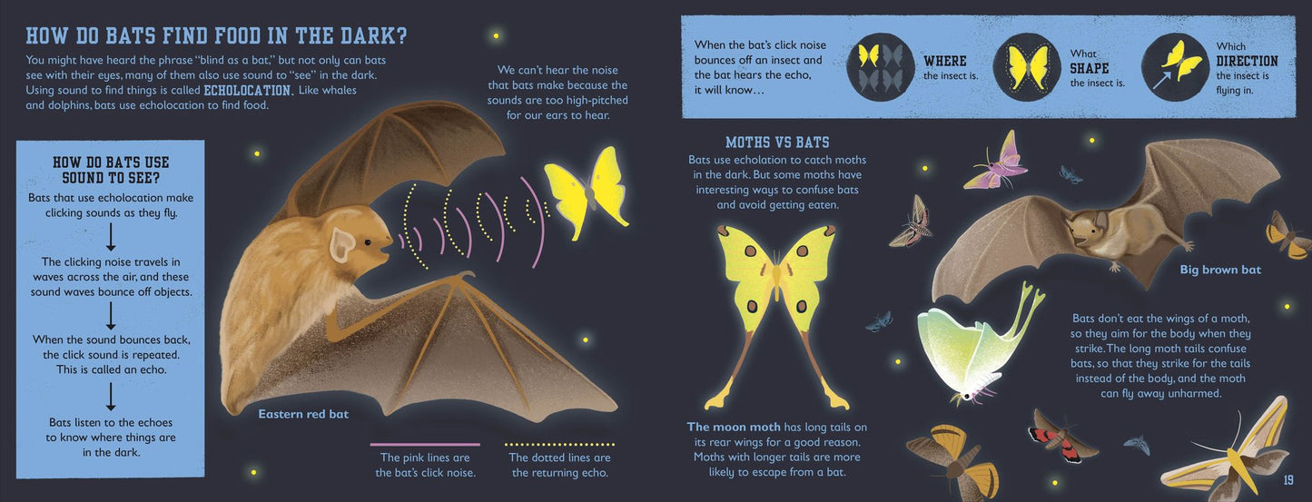 The Bat Book