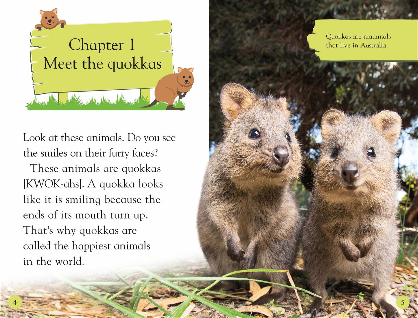 DK Reader Level 2: Meet the Quokkas!