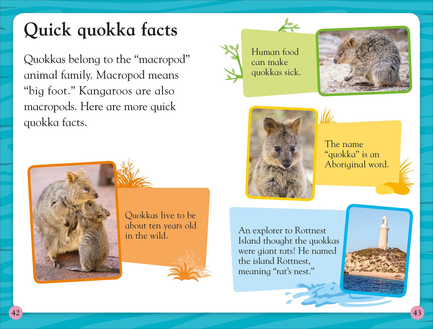 DK Reader Level 2: Meet the Quokkas!