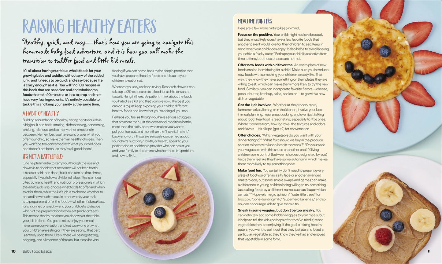 Healthy, Quick & Easy Baby Food: 100 Naturally Wholesome, No-Fuss Purees, Finger Foods and Toddler Meals