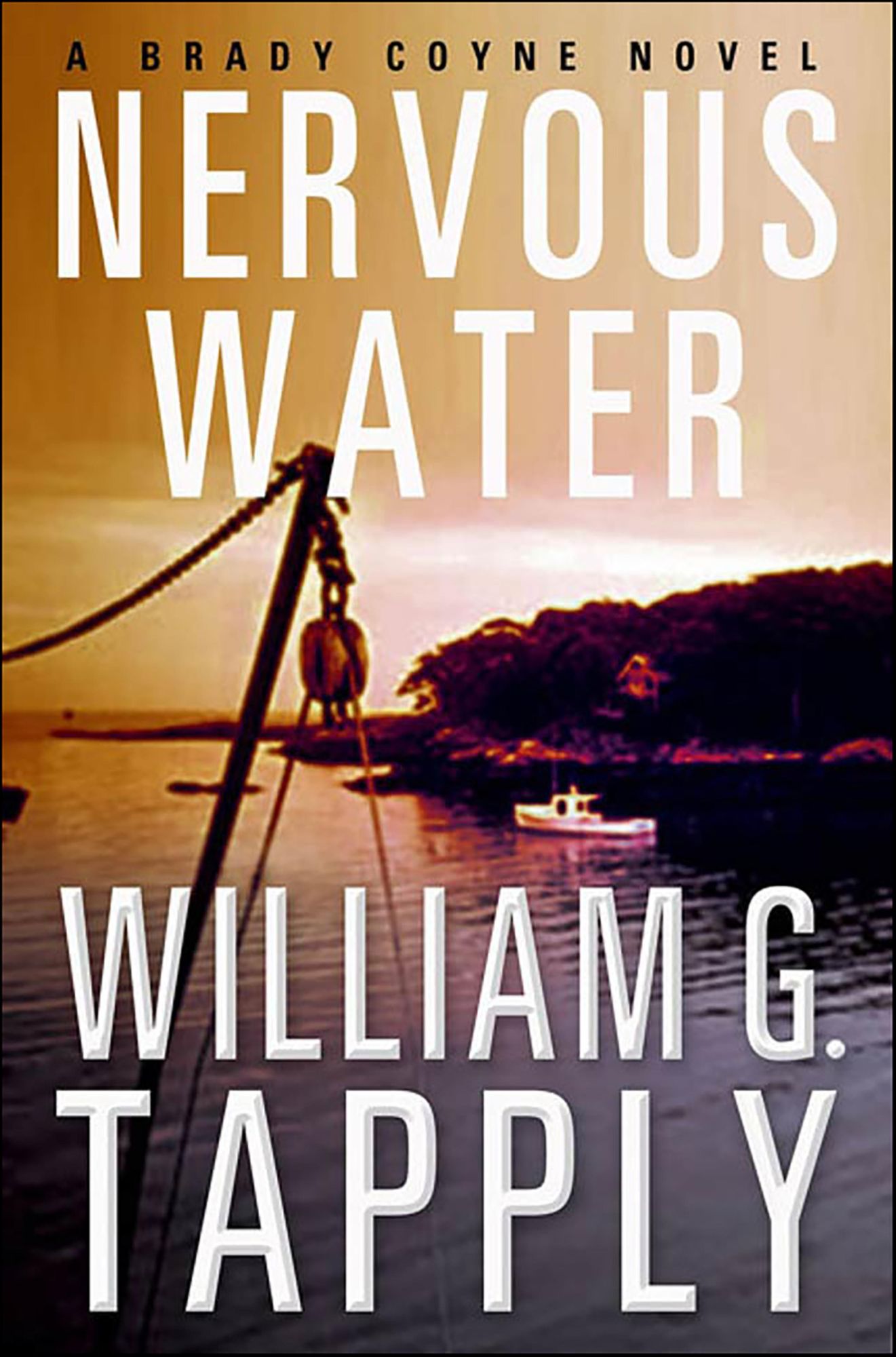Nervous Water: A Brady Coyne Novel