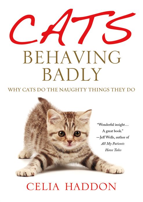 Cats Behaving Badly: Why Cats Do the Naughty Things They Do