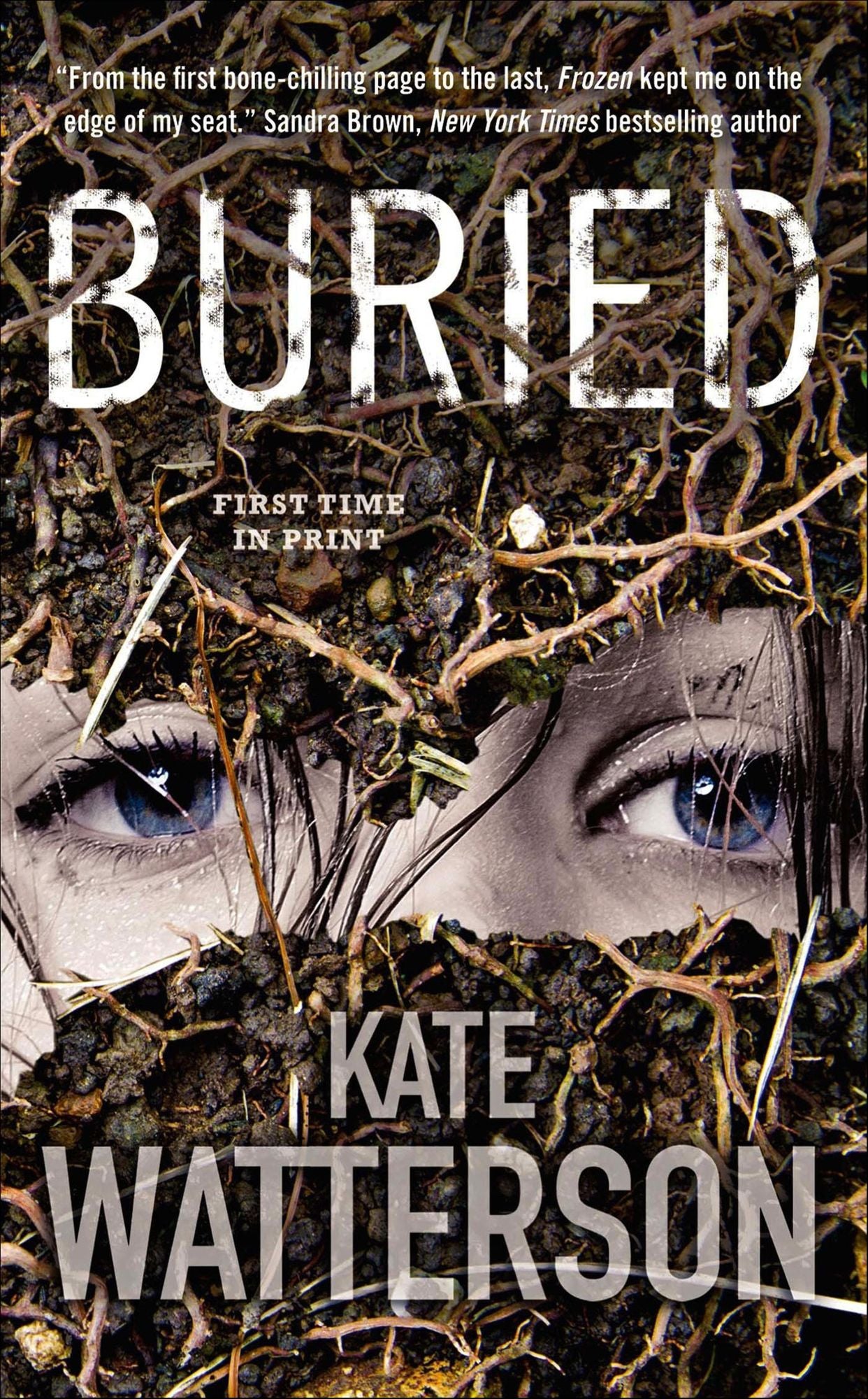 Buried: An Ellie MacIntosh Thriller