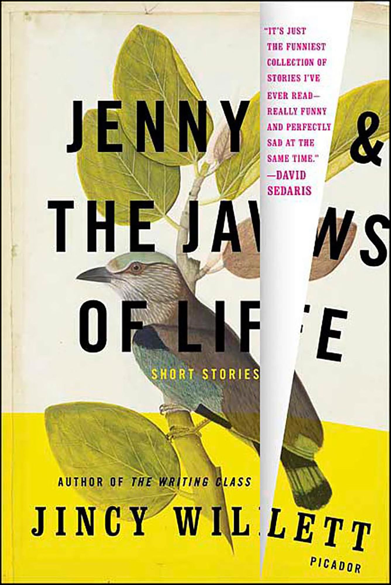 Jenny and the Jaws of Life: Short Stories