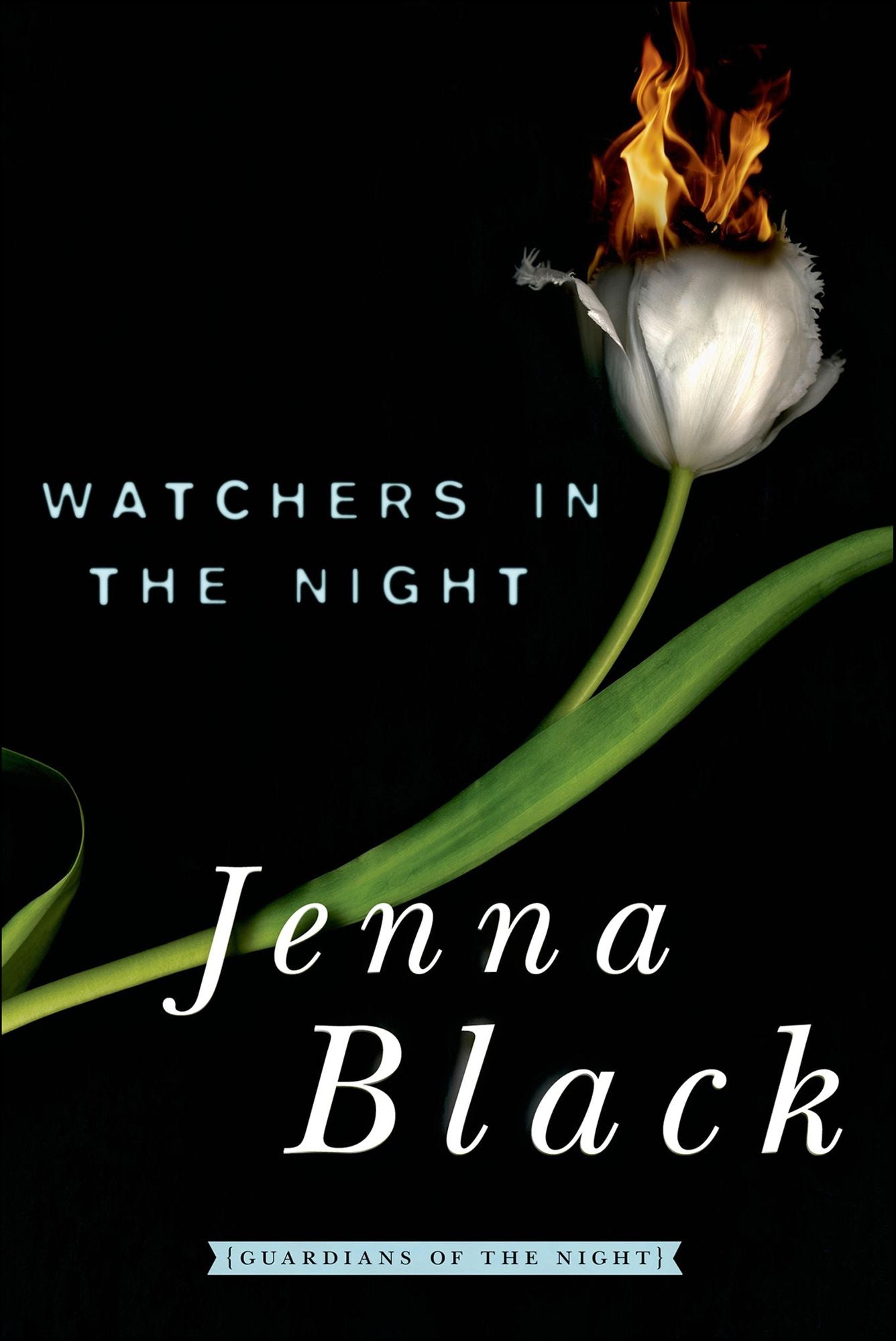 Watchers in the Night: Guardians of the Night