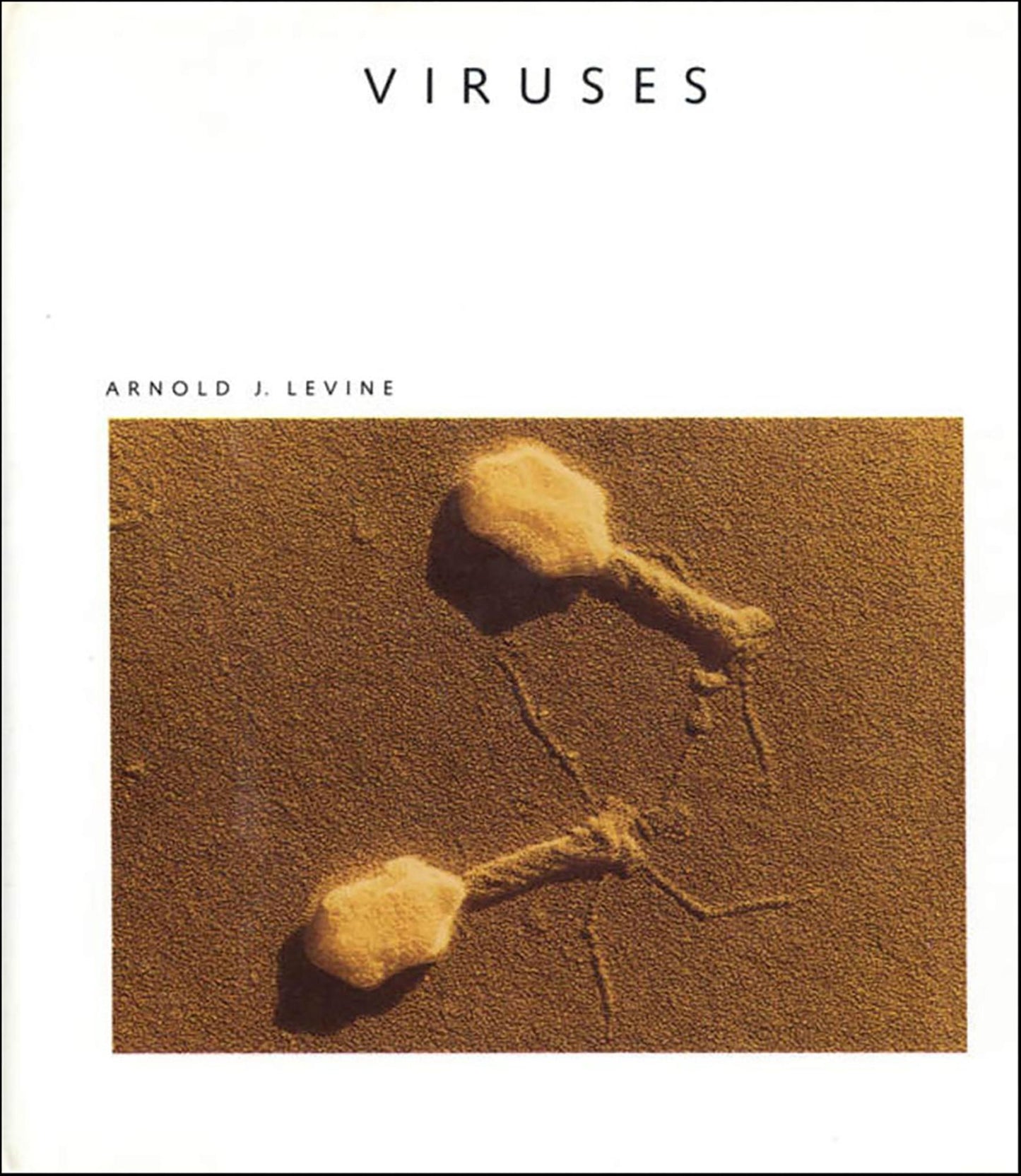 Viruses: A Scientific American Library Book