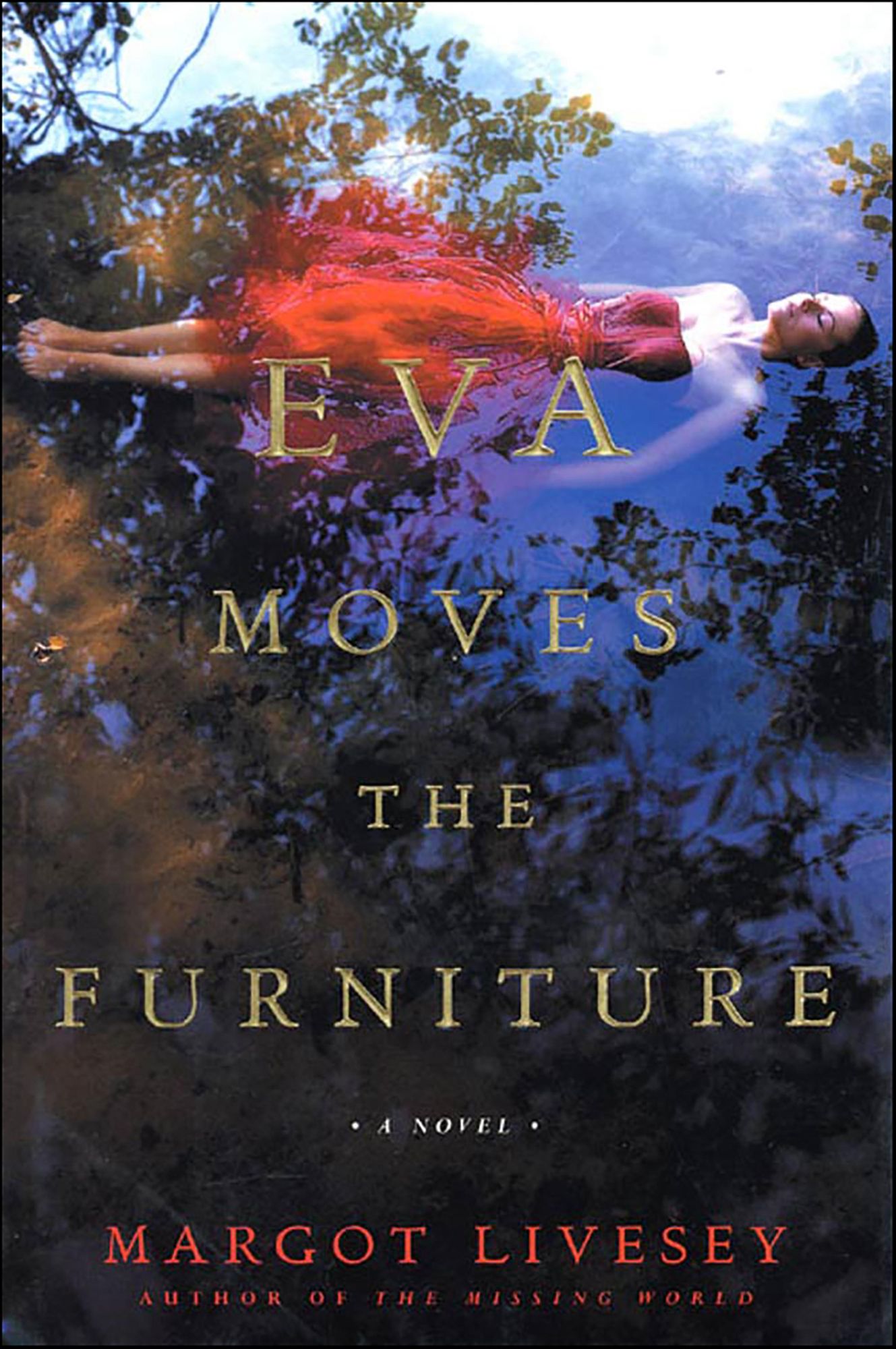 Eva Moves the Furniture: A Novel