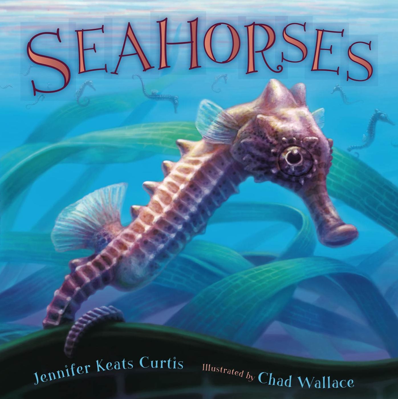 Seahorses