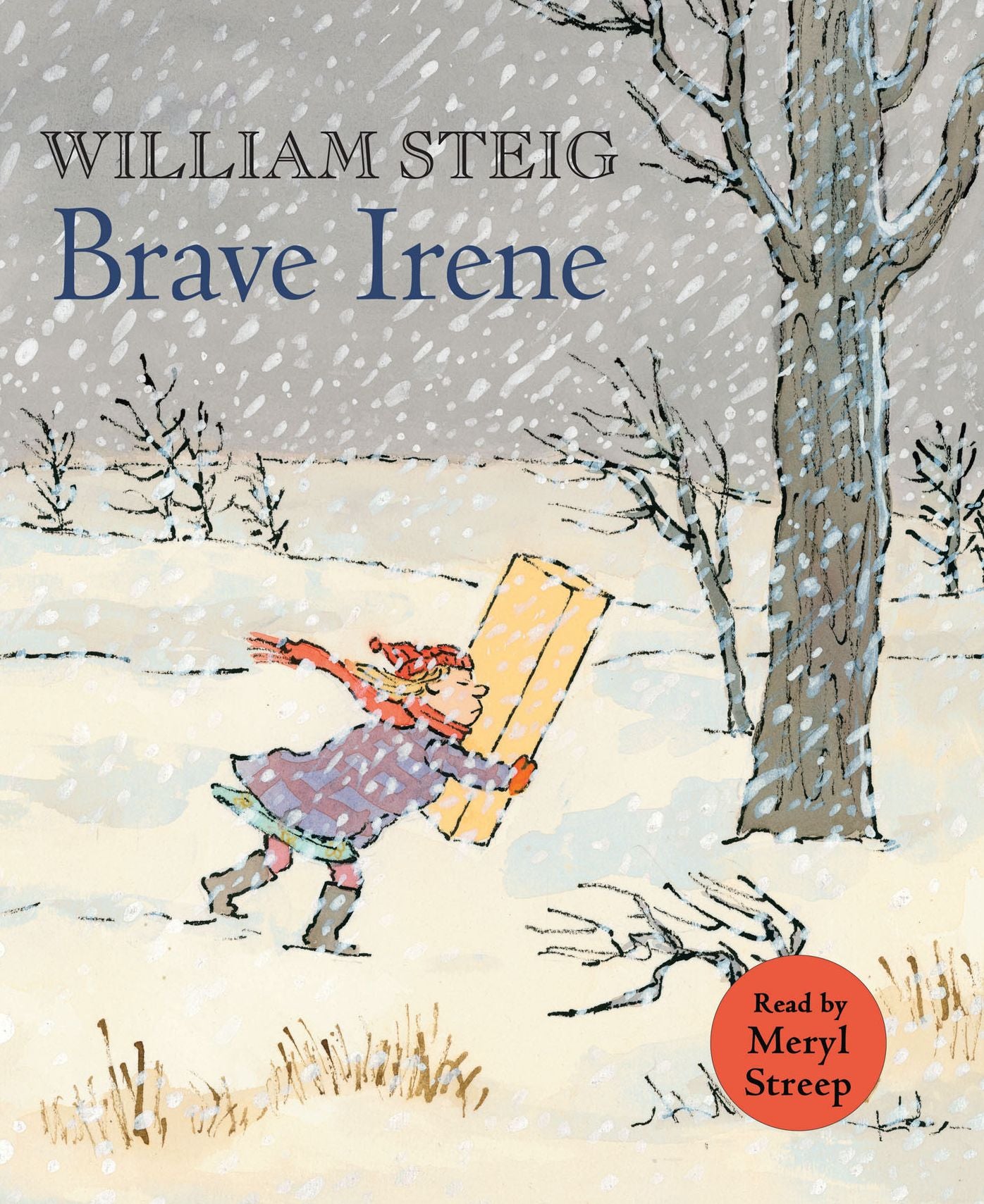 Brave Irene: A Picture Book