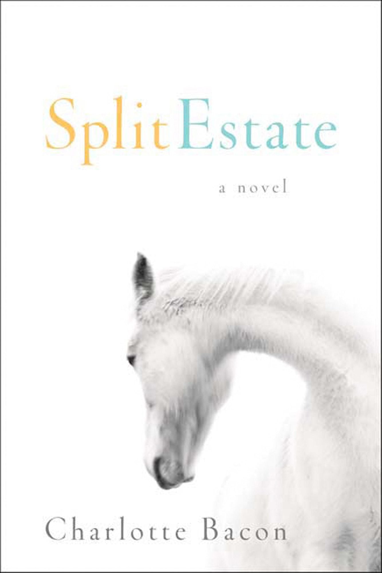 Split Estate: A Novel
