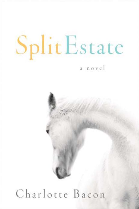 Split Estate: A Novel