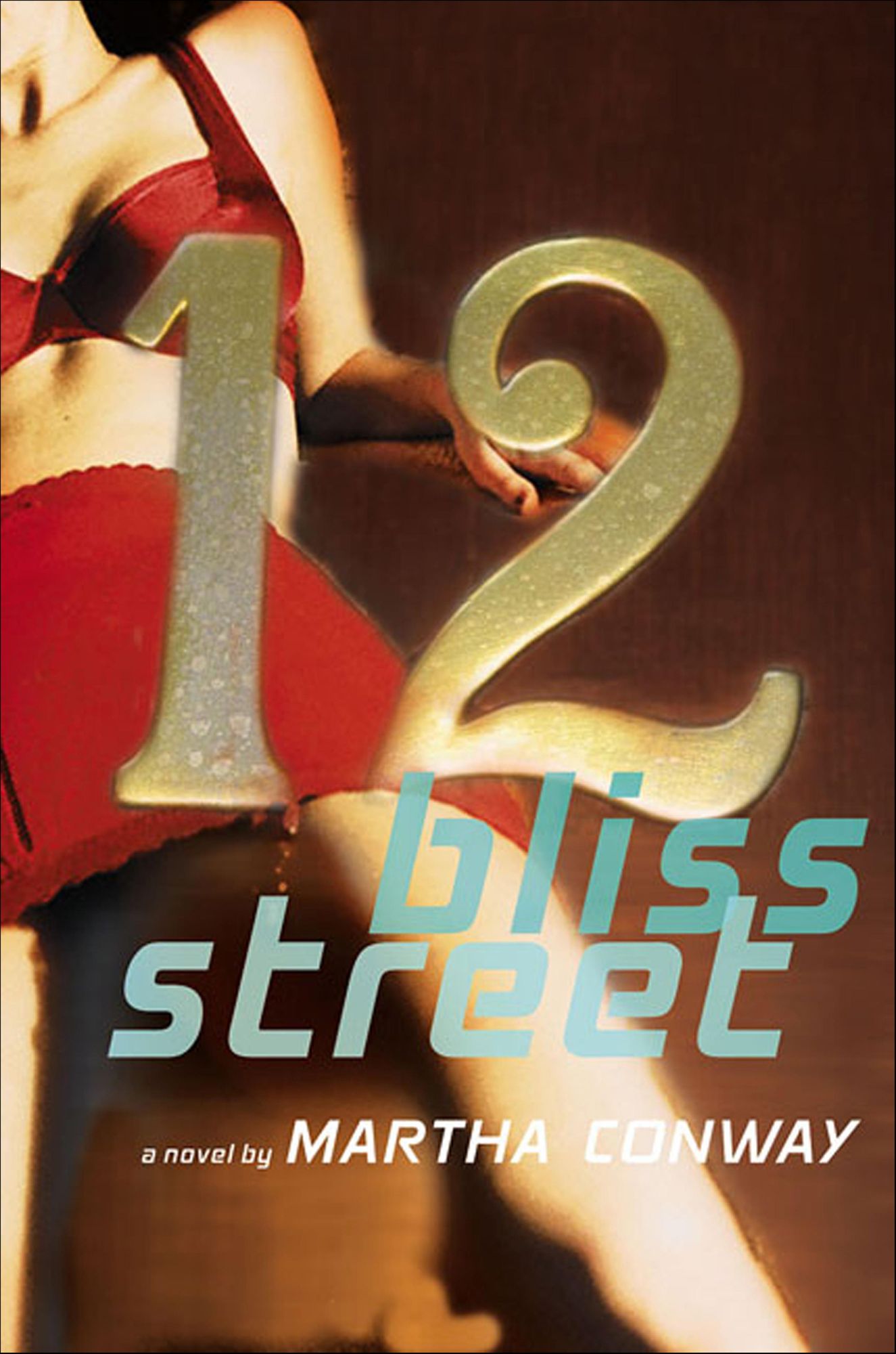 12 Bliss Street: A Novel