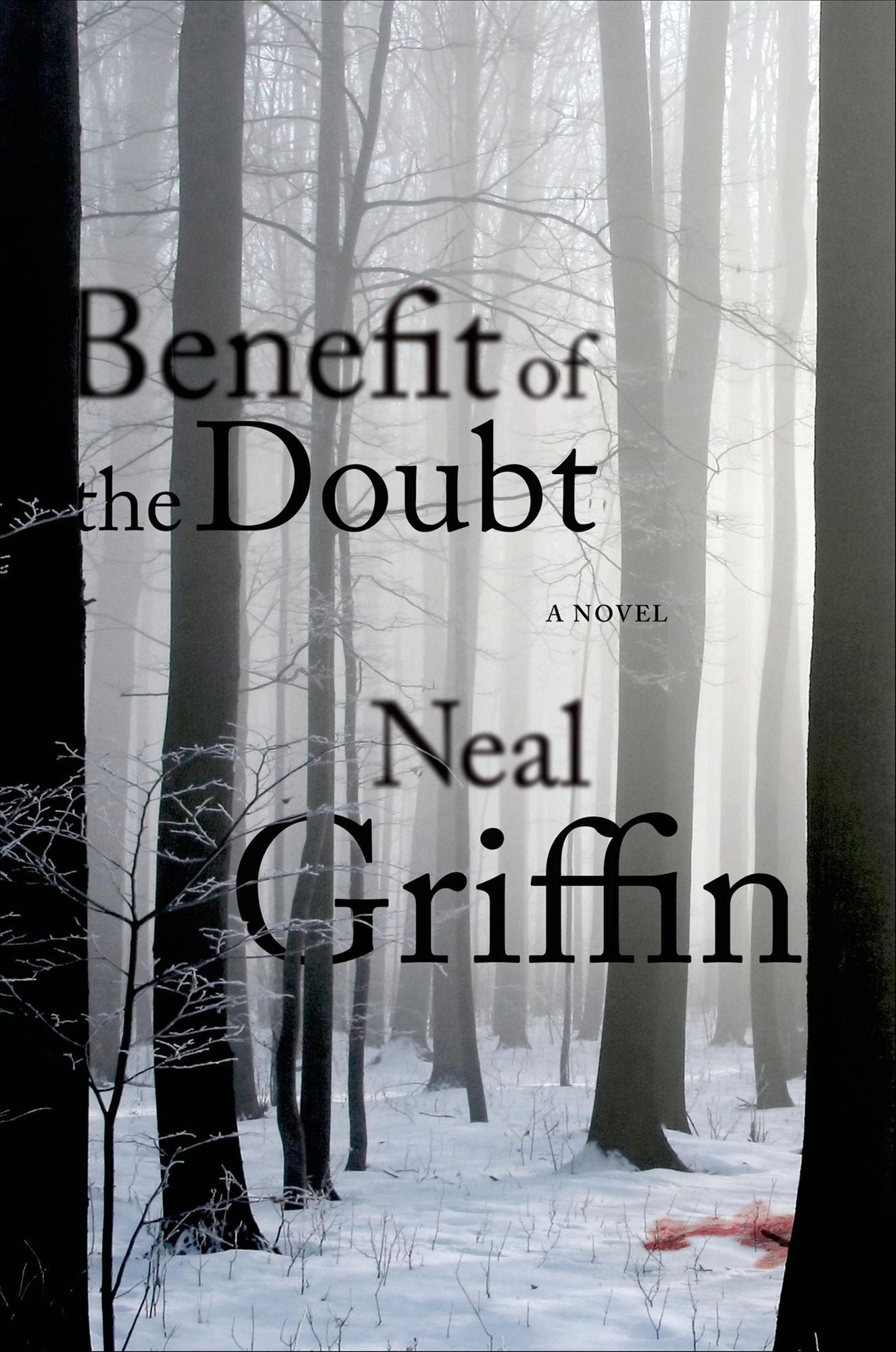 Benefit of the Doubt: A Newberg Novel