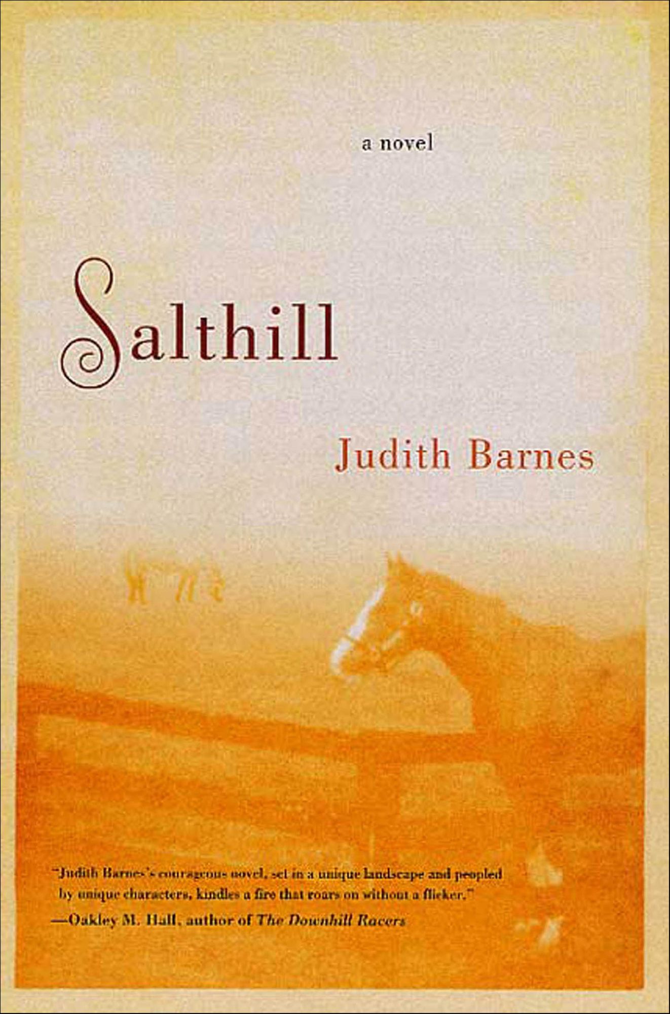 Salthill: A Novel