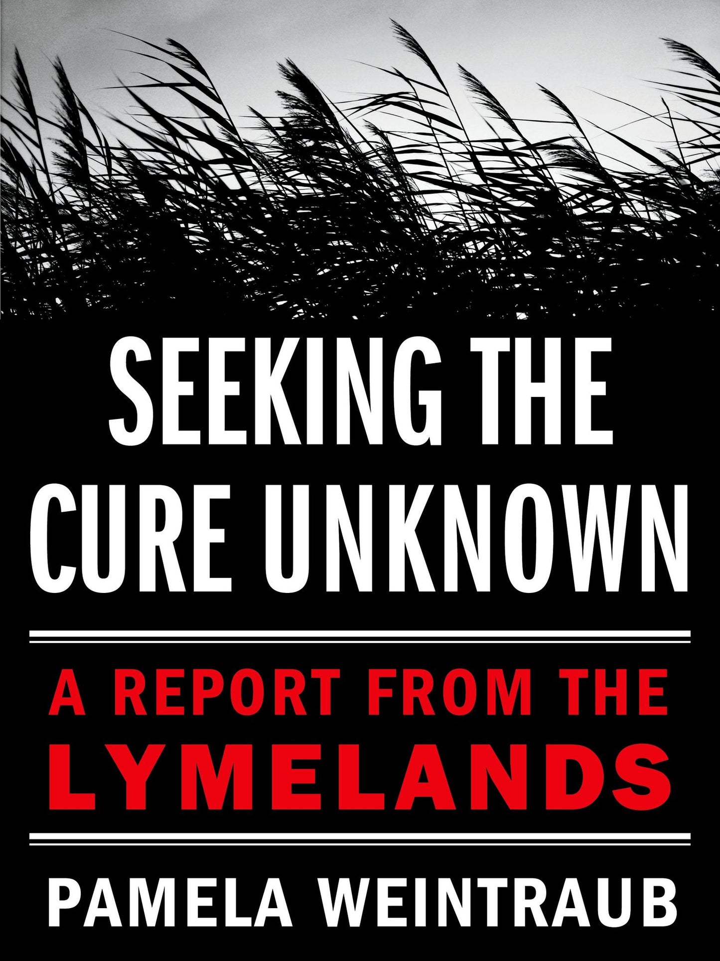 Seeking the Cure Unknown: A Report from the Lymelands