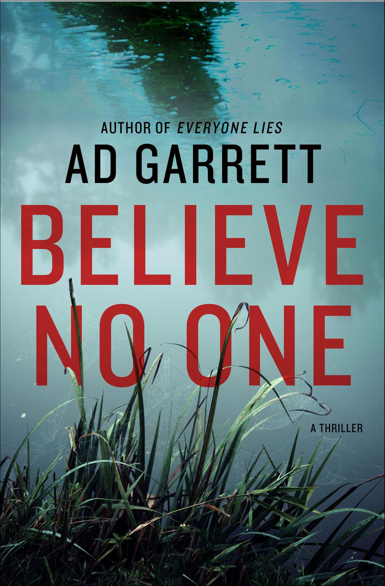 Believe No One: A Thriller