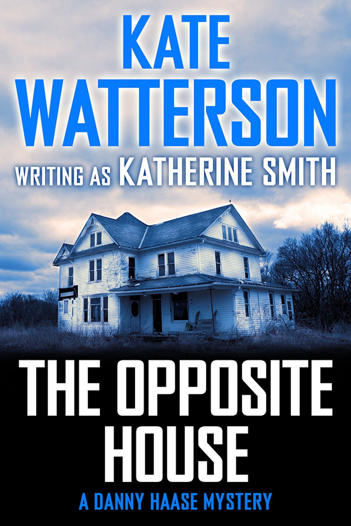 The Opposite House: A Danny Haase Mystery