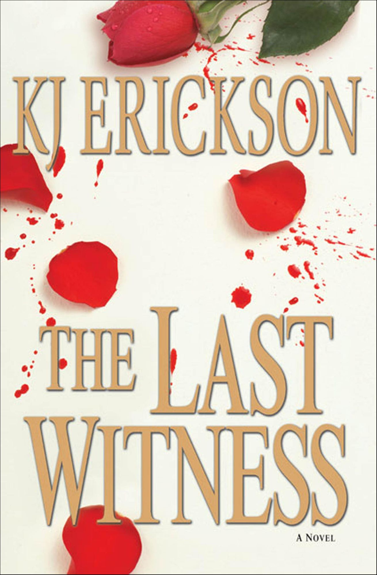 The Last Witness: A Mars Bahr Mystery