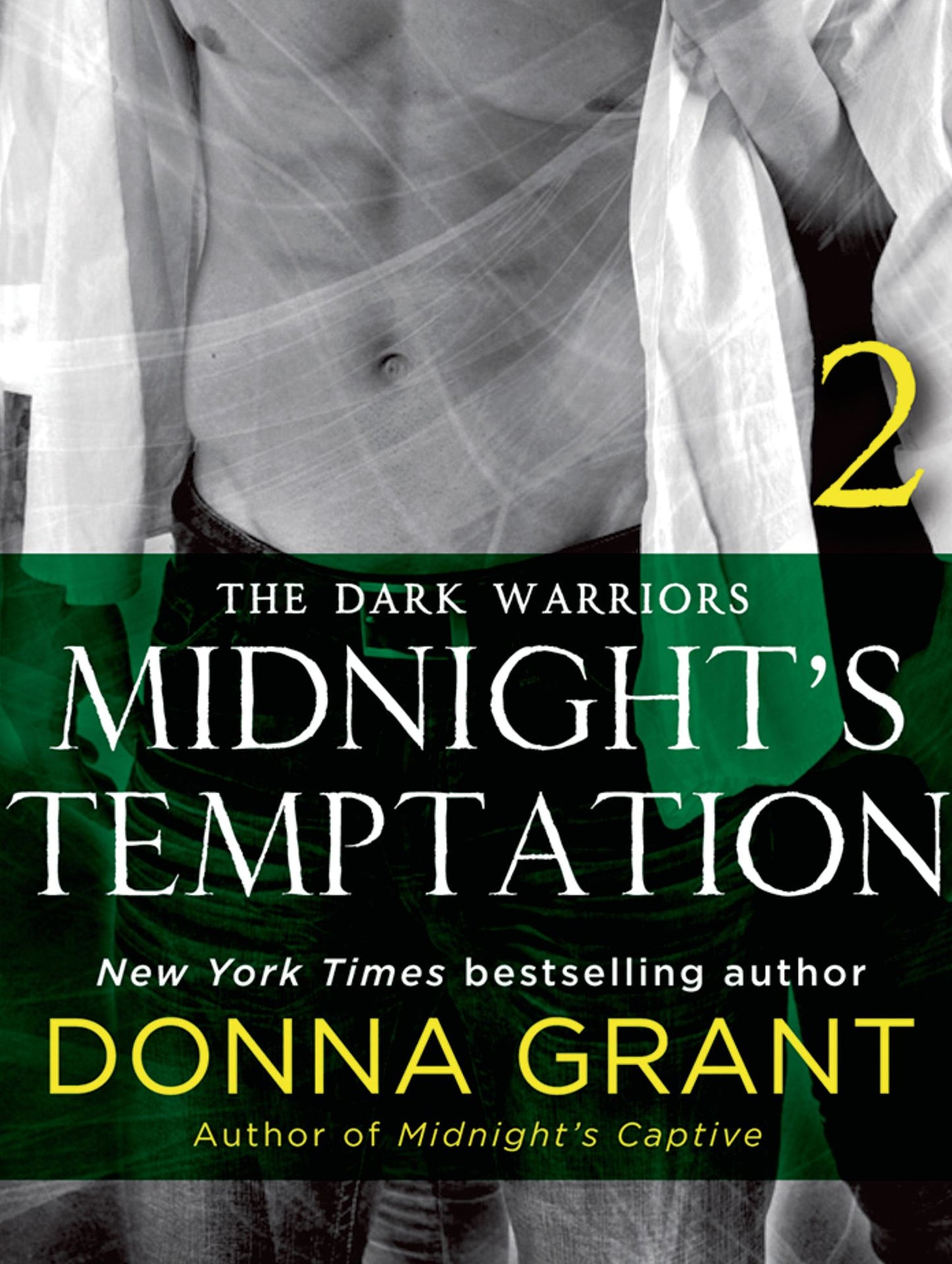 Midnight's Temptation: Part 2: The Dark Warriors