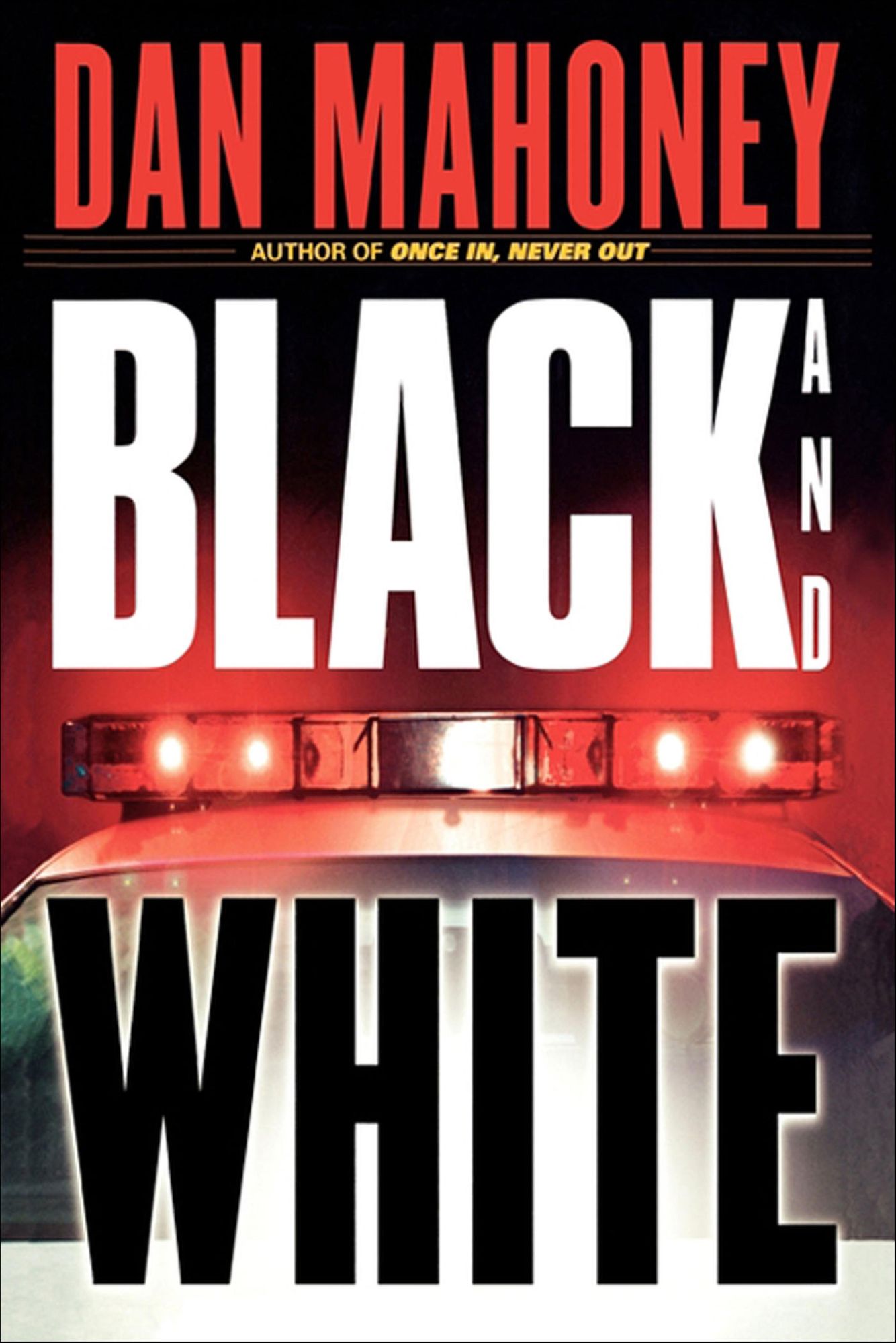 Black and White: A Novel