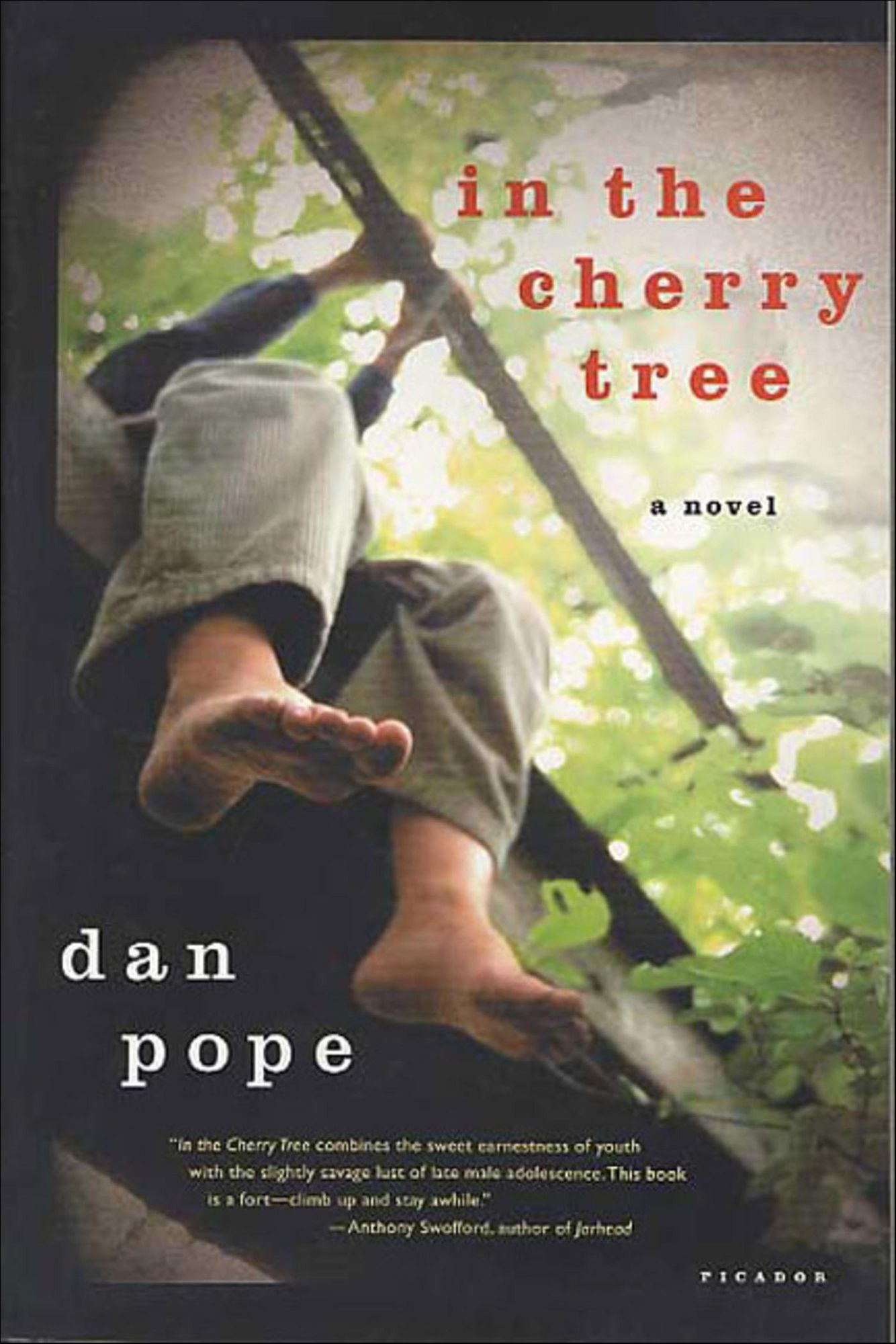 In the Cherry Tree: A Novel