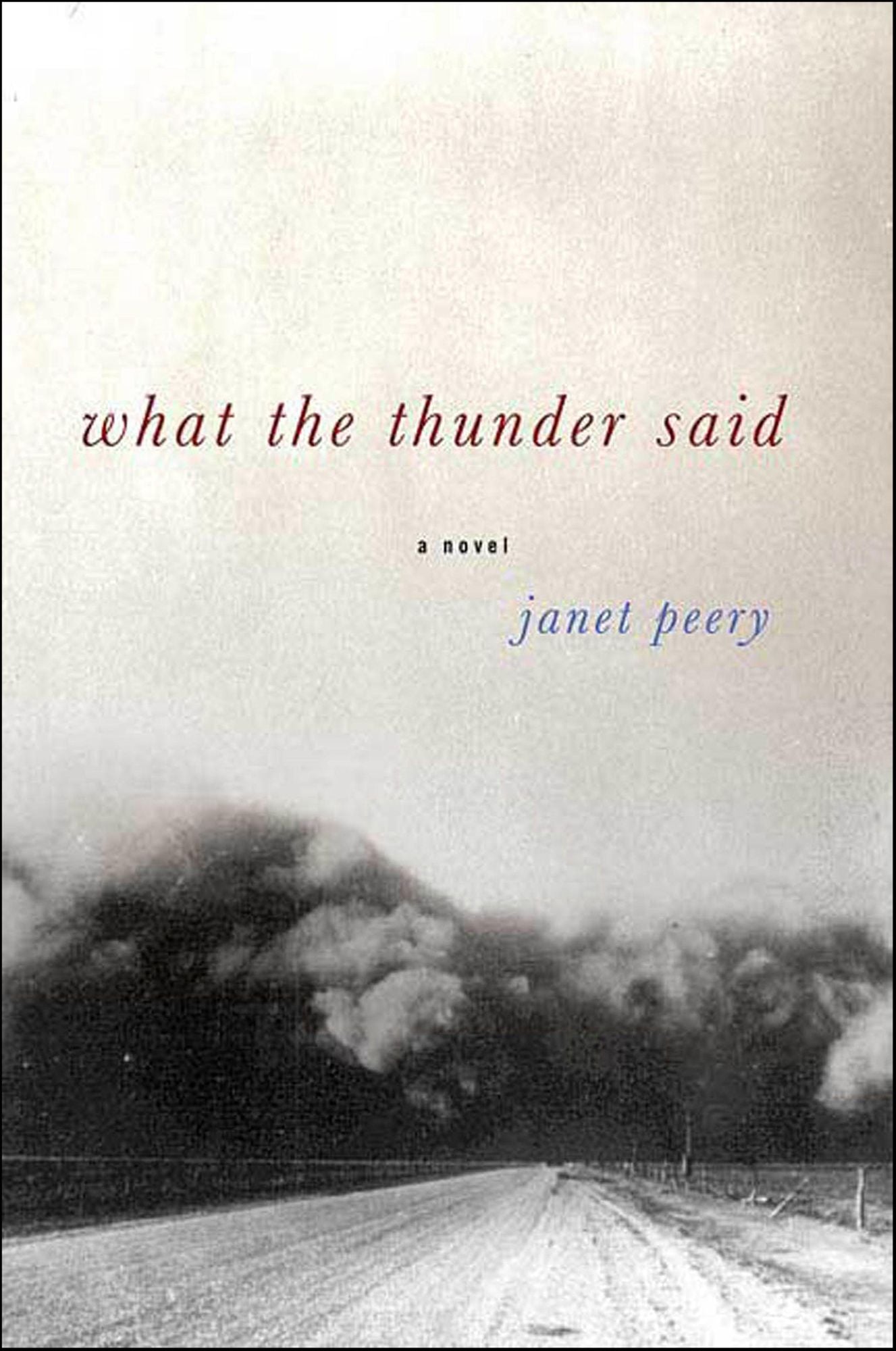 What the Thunder Said: A Novella and Stories
