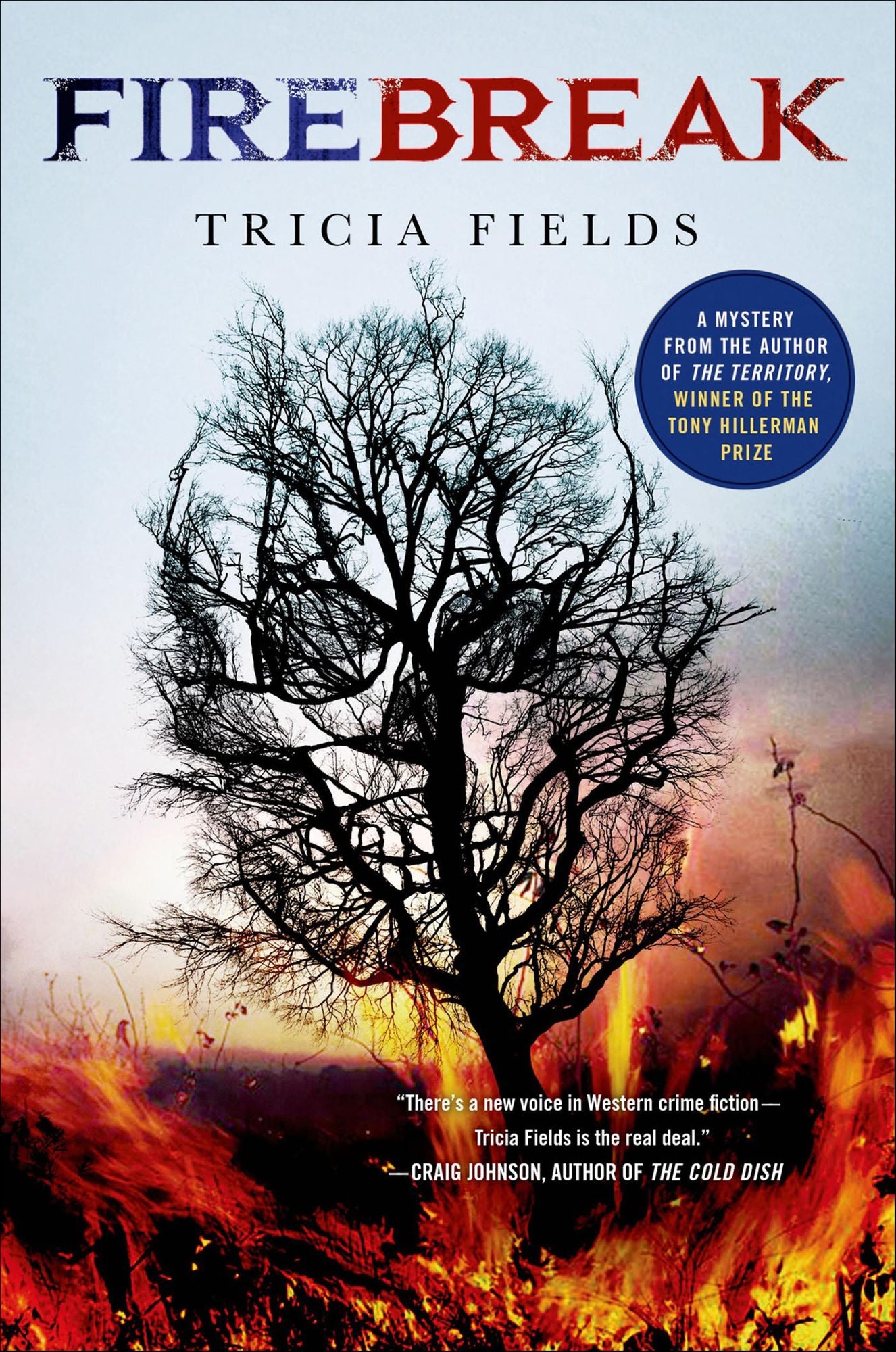 Firebreak (Josie Gray Mysteries Series #4)