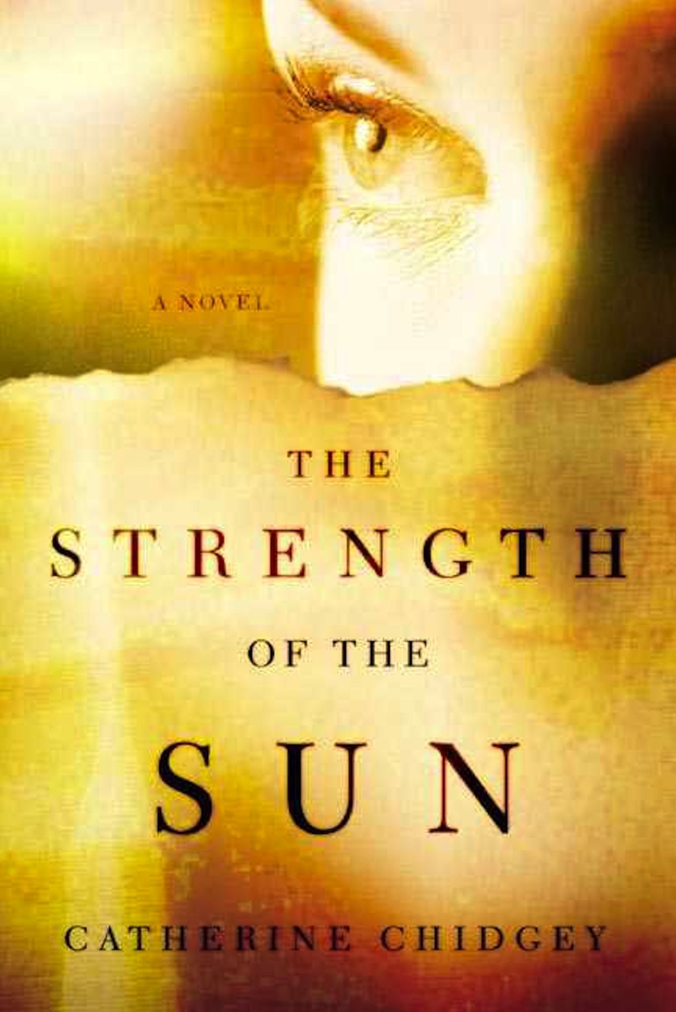 The Strength of the Sun: A Novel