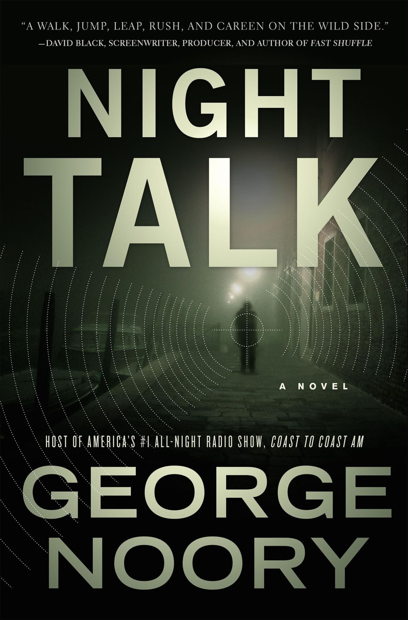 Night Talk: A Novel