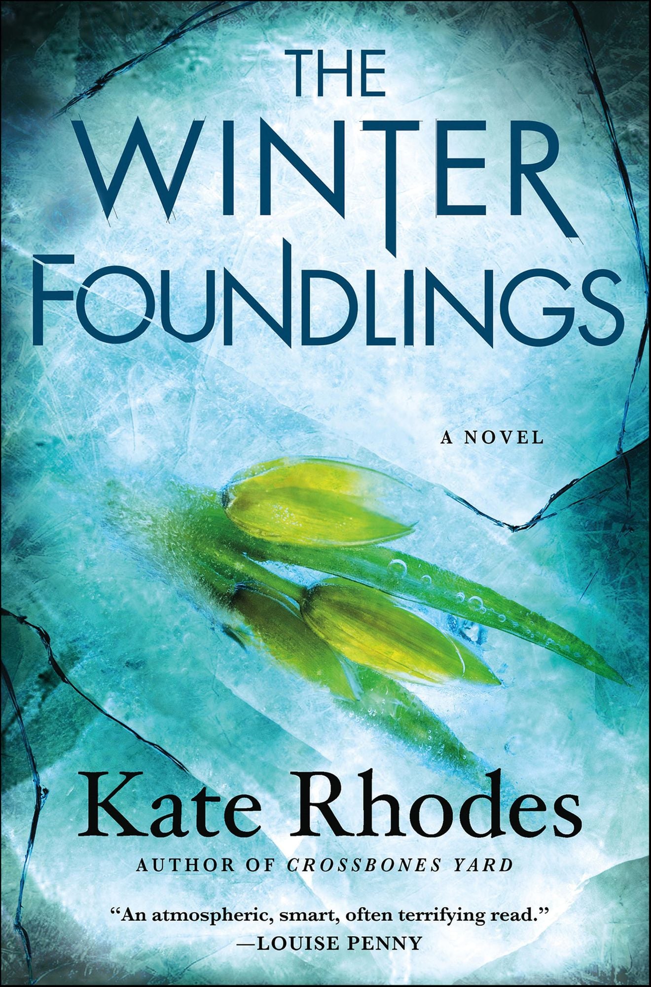 The Winter Foundlings: A Novel