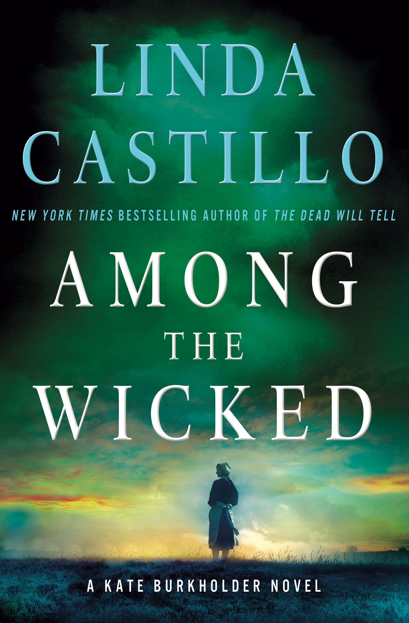 Among the Wicked (Kate Burkholder Series #8)