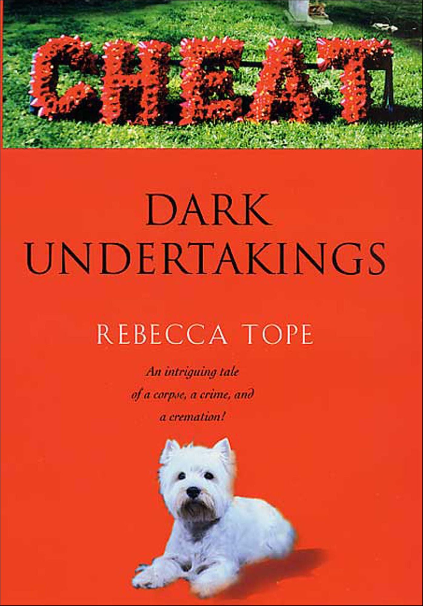 Dark Undertakings