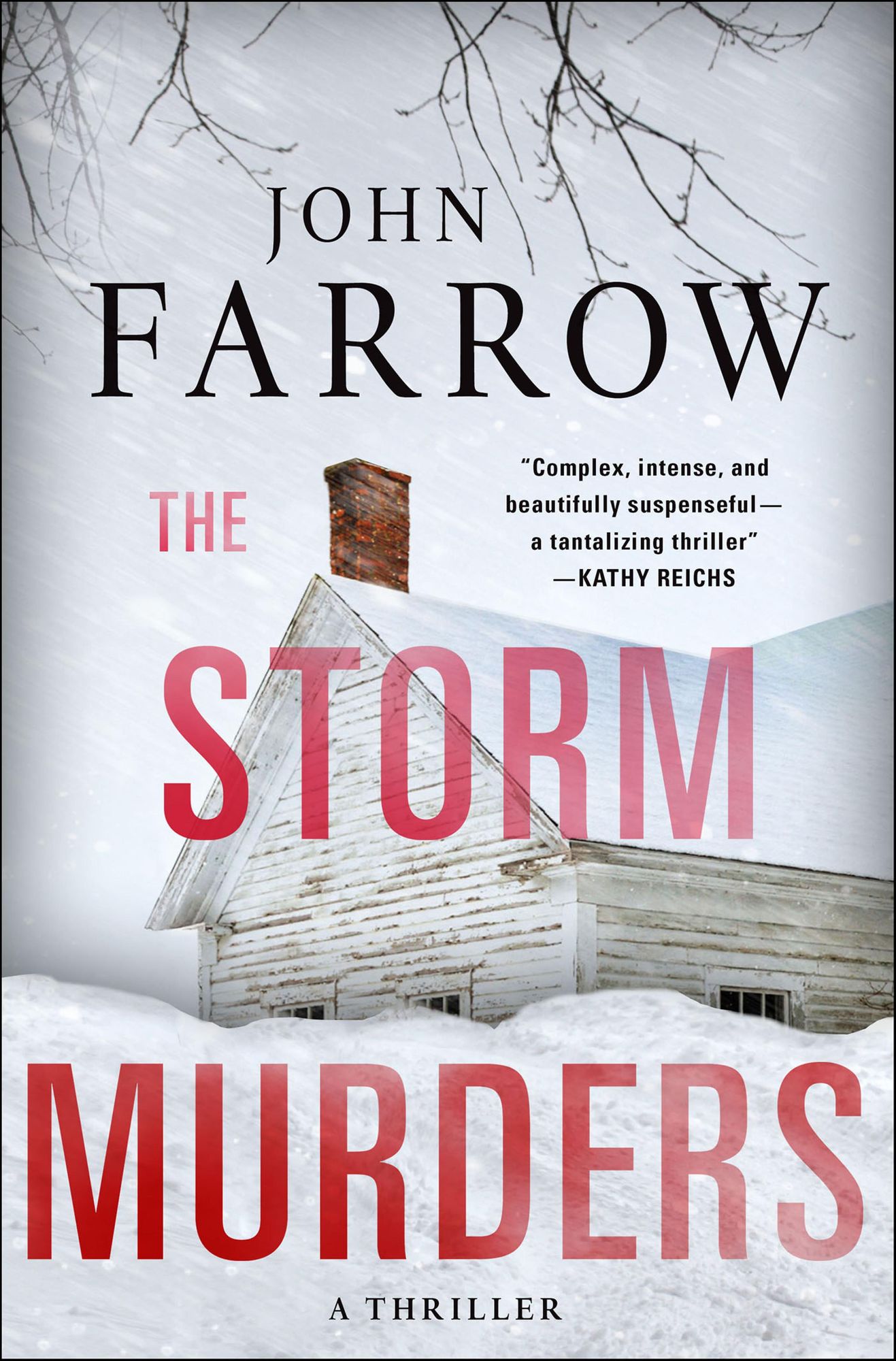 The Storm Murders (Storm Murders Trilogy #1) (Émile Cinq-Mars Series #4)