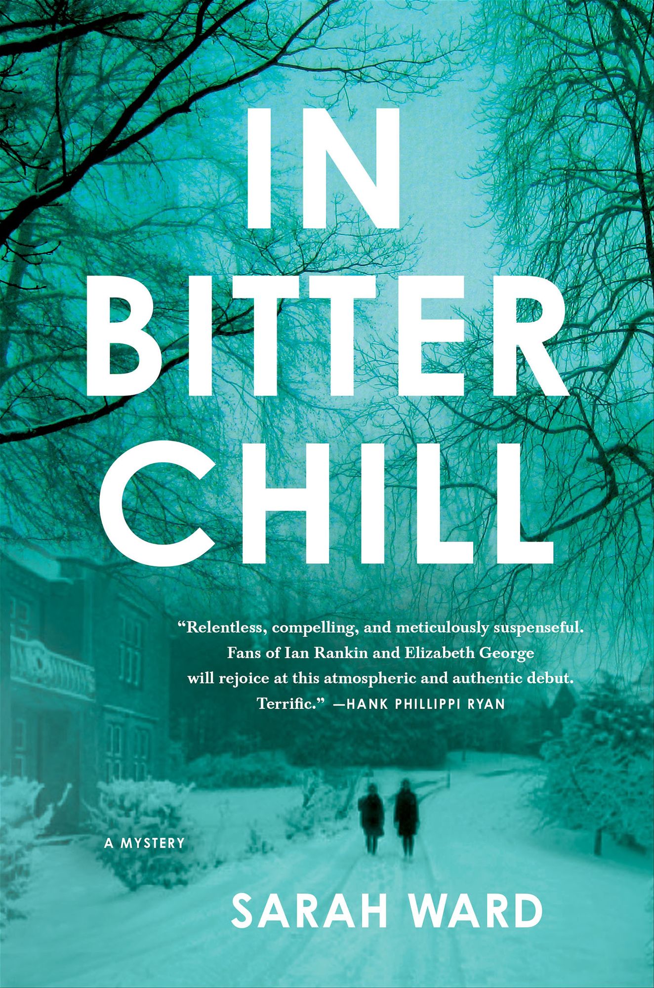 In Bitter Chill: A Mystery