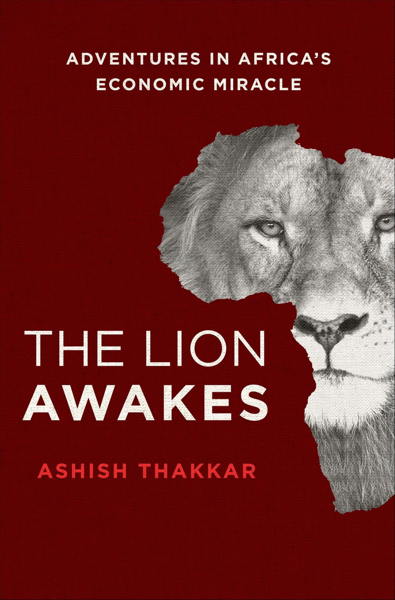 The Lion Awakes: Adventures in Africa's Economic Miracle