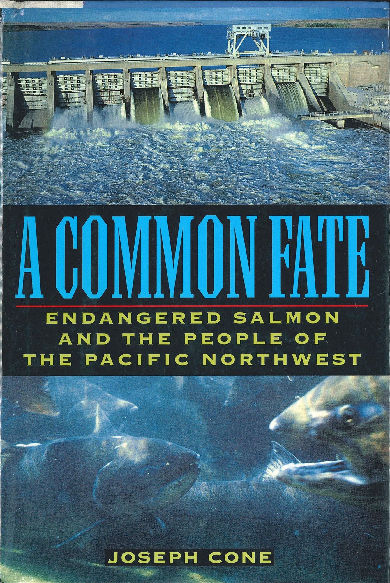 A Common Fate: Endangered Salmon And The People Of The Pacific Northwest