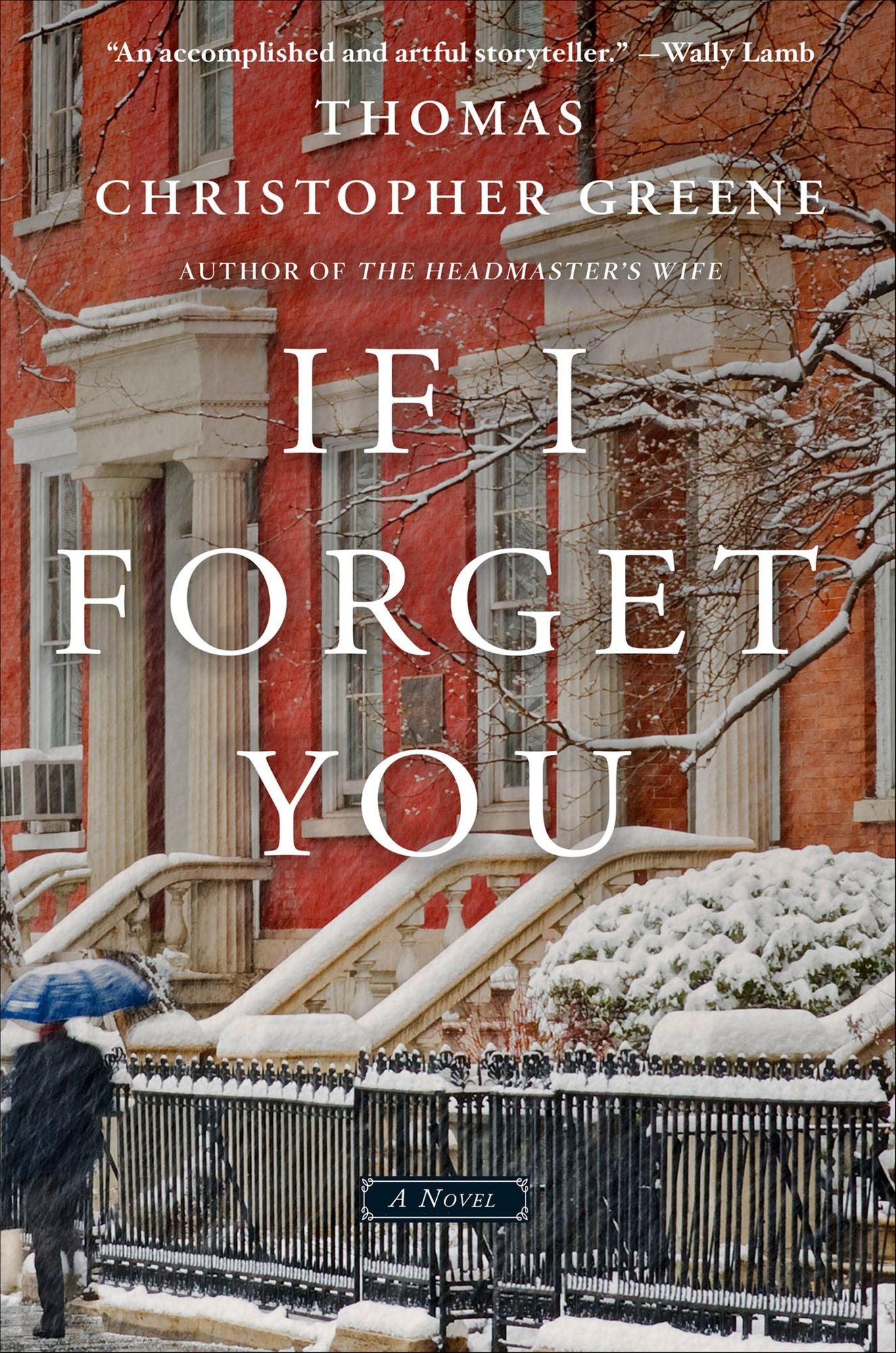 If I Forget You: A Novel