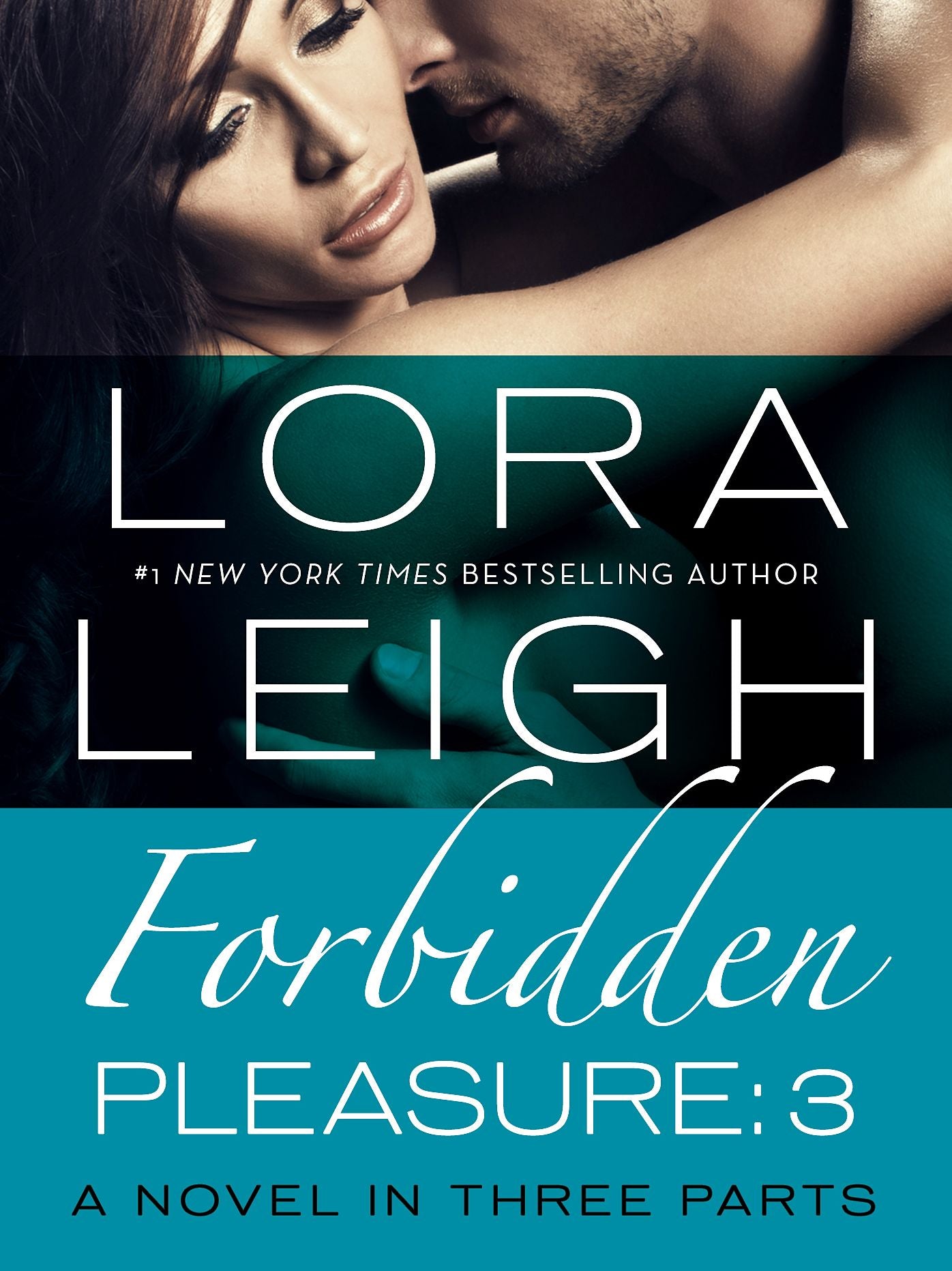 Forbidden Pleasure: Part 3 (Bound Hearts Series #8)