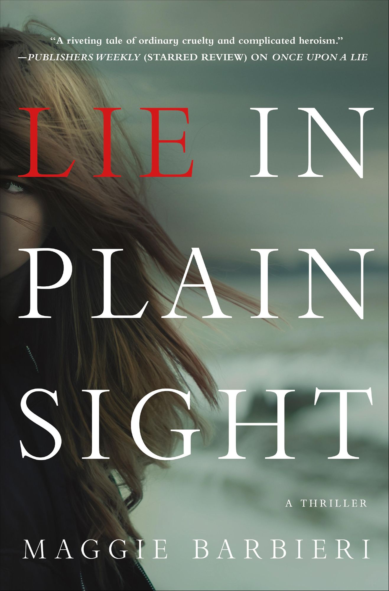 Lie in Plain Sight: A Thriller