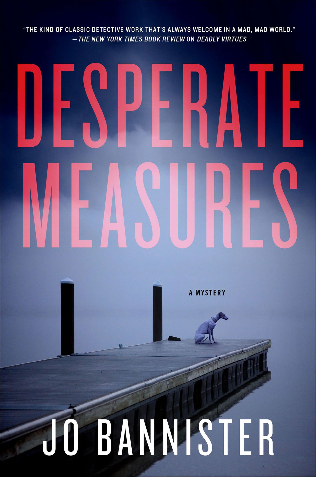 Desperate Measures: A Mystery
