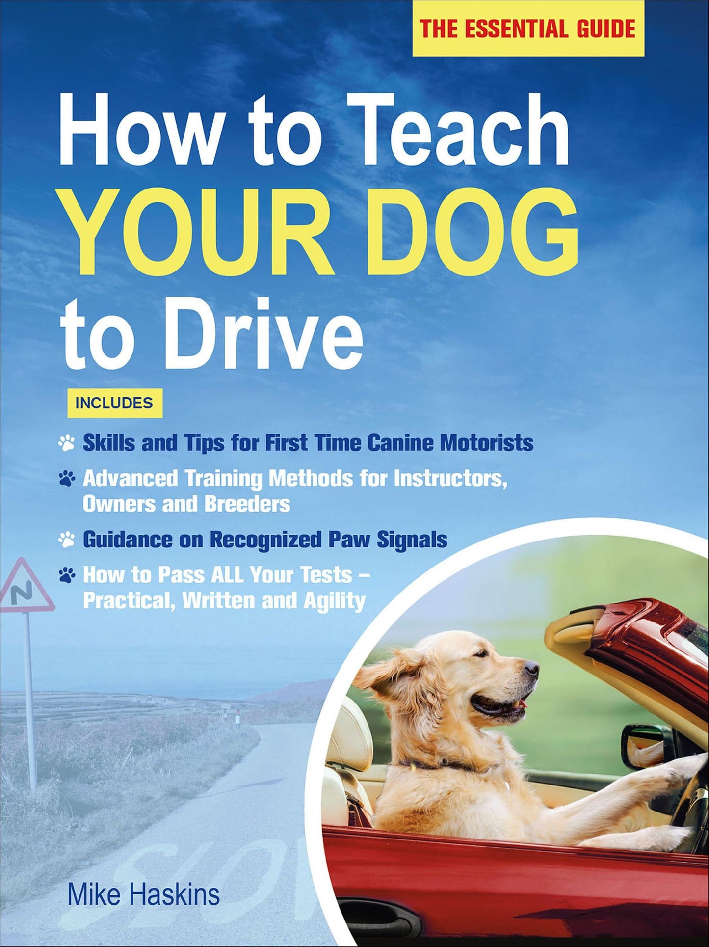 How to Teach Your Dog to Drive: The Essential Guide