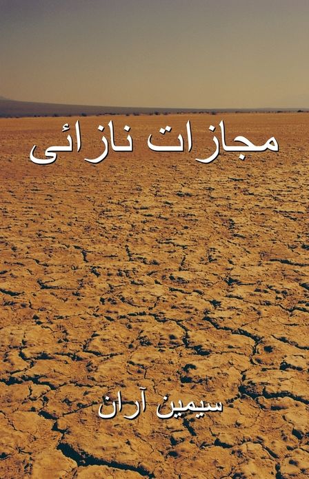 The Punishment of a Barren Woman: Simin Aran (PagePerfect NOOK Book)