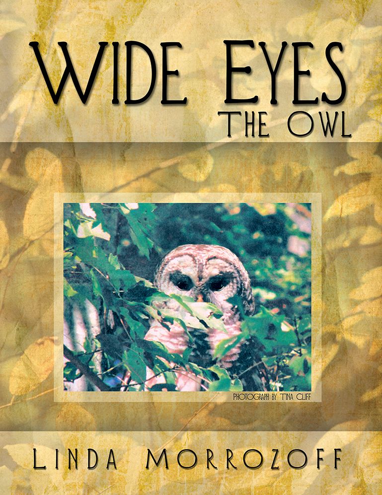 Wide Eyes The Owl