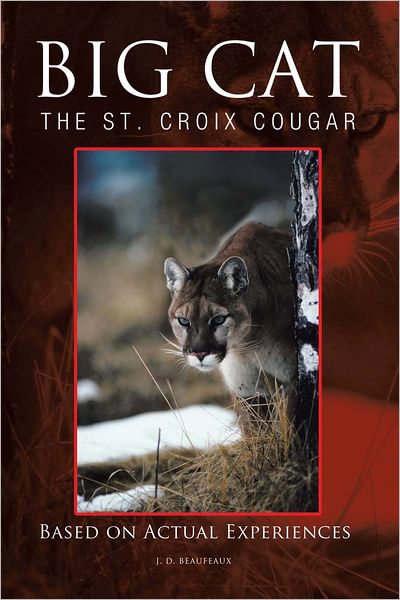 BIG CAT: The St. Croix Cougar